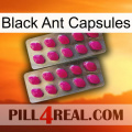 Black Ant Capsules 10